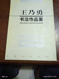 王乃勇书法作品集