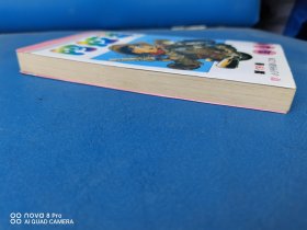 阿拉蕾13：小少爷机器人之卷