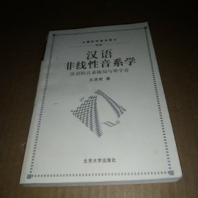 汉语非线性音系学：汉语的音系格局与单字音