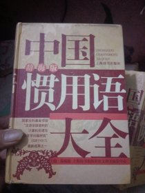 中国惯用语大全（辞海版），精装