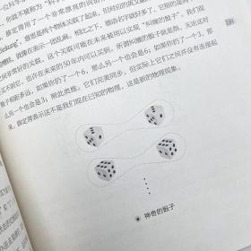 科学之美