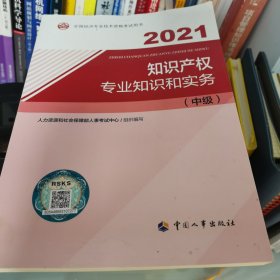 2021新版中级经济师知产 知识产权中级必备教材套装(共2册)经济基础教材+知识产权教材