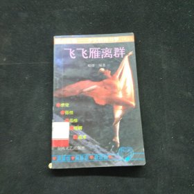 飞飞雁离群