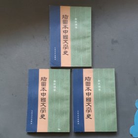 插图本中国文学史(1-3册) 竖版/缺第4册