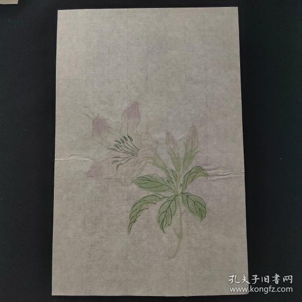 木刻水印 信箋纸 套色印刷 花卉图13
