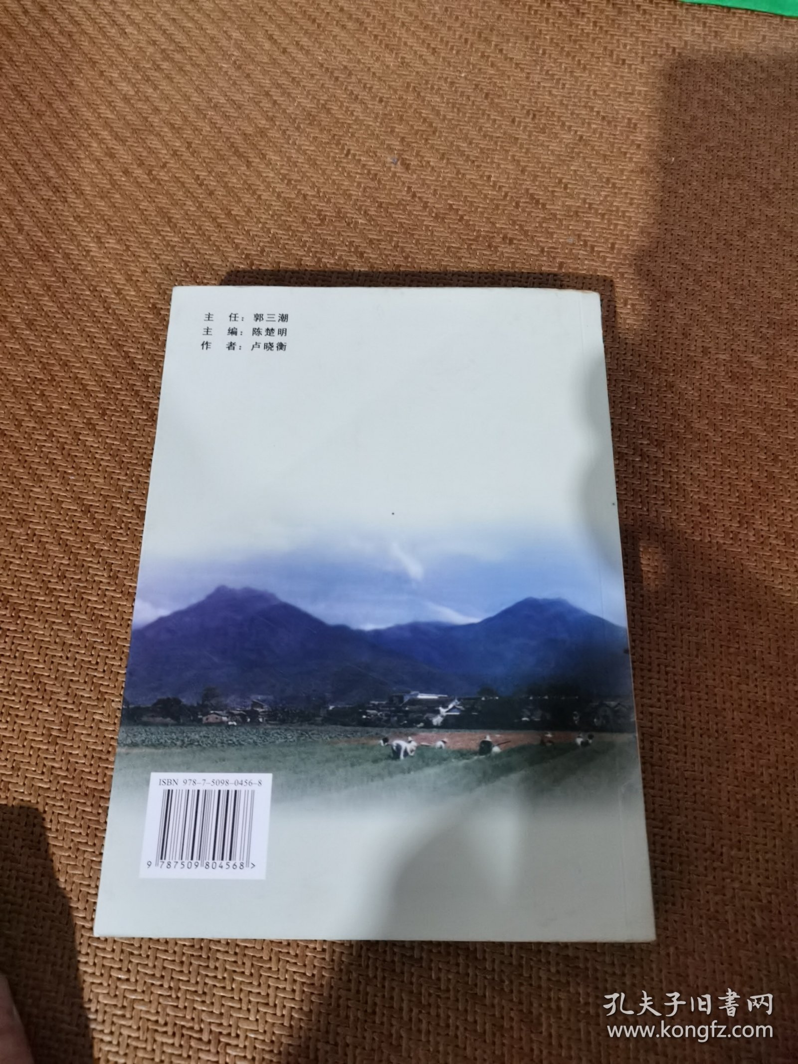 走出湾塘，卢伟如的革命人生
