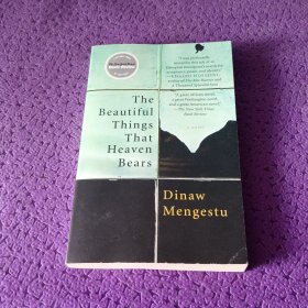 The Beautiful Things That Heaven Bears 天堂结出的美丽硕果 文化遗产小说 Dinaw Mengestu