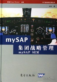 mySAP集团战略管理