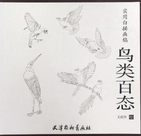 实用白描画稿：鸟类百态