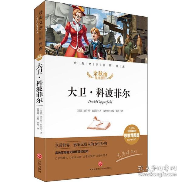 大卫·科波菲尔经典文学名著金库（名师精评思维导图版）