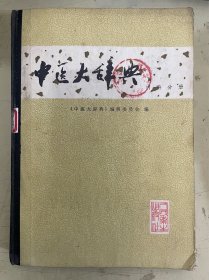 中医大辞典内科分册（试用本）