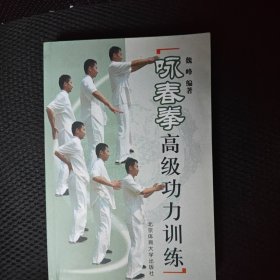 咏春拳高级功力训练