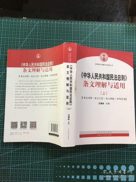 中华人民共和国民法总则 条文理解与适用（套装上下册）