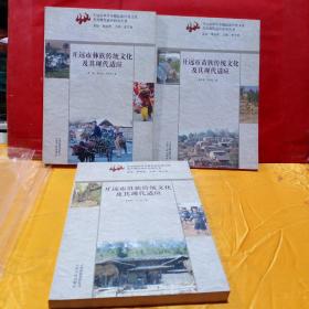 开远市世居少数民族传统文化及其现代适应研究丛书 3本合售