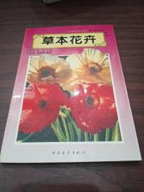 草本花卉