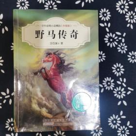 中外动物小说精品（升级版）：野马传奇