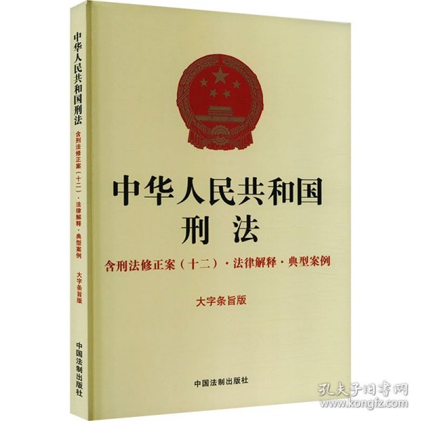 中华人民共和国刑法 含刑法修正案(十二)·法律解释·典型案例 大字条旨版