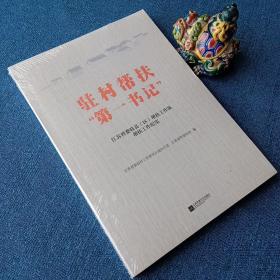 驻村帮扶第一书记