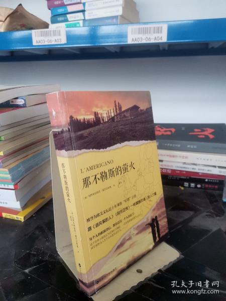 那不勒斯的萤火（被誉为欧美文坛近十年来的“灯塔”巨作，跟《追风筝的人》《阿甘正传》一样震撼灵魂、给人力量。）