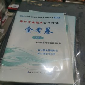 审计专业技术资格考试金考卷（中级2024全新版）