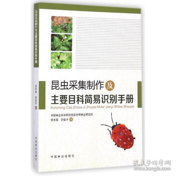 昆虫采集制作及主要目科简易识别手册