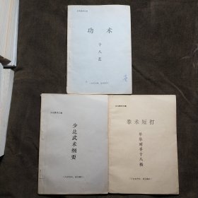 少北武术汇编 三册