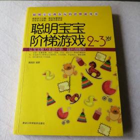 聪明宝宝都在玩的思维游戏书：聪明宝宝阶梯游戏（2-3岁）