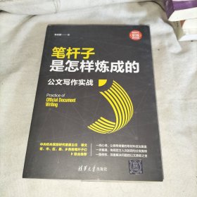 笔杆子是怎样炼成的：公文写作实战