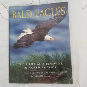 BALD EAGLES: Their Life and Behavior in North America，平装，8开，159页，Crown Trade出版