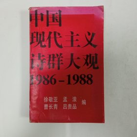 中国现代主义诗群大观1986-1988