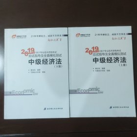 (2019)中级经济法应试指导及全真模拟测试中级会计轻松过关上下册