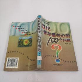 当代青年最关心的100个问题