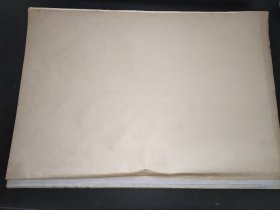 宁夏日报  1965年5月