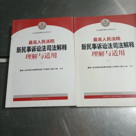 最高人民法院新民事诉讼法司法解释理解与适用