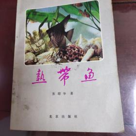 热带鱼