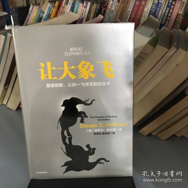 让大象飞:激进创新，让你一飞冲天的创业术