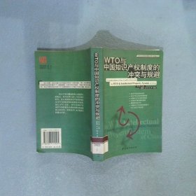 WTO 与中国知识产权制度的冲突与规避