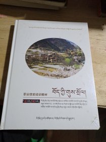 藏族礼俗-藏汉双语 少数民族非物质文化遗产职业技能培训教材丛书