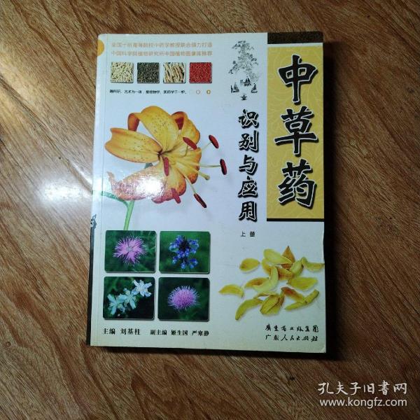 中草药识别与应用(上册)