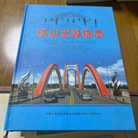 松山区政协志