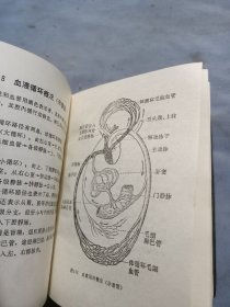 天津医学院人体解剖图一厚本。