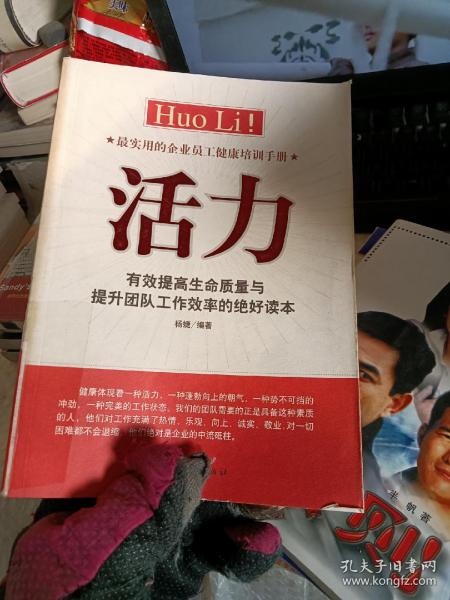 活力：有效提高生命质量与提升团队工作效率的绝好读本