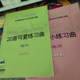 戈尔鲍第双20首长笛练习曲