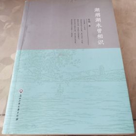 湖烟湖水曾相识