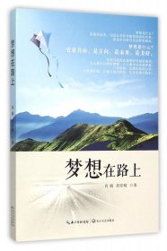 正版书中国当代纪实文学：梦想在路上