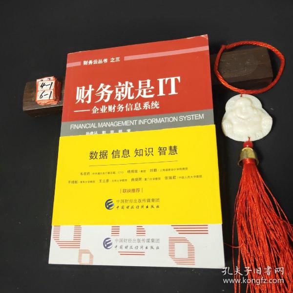 财务就是IT：企业财务信息系统