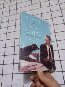 Essays of E. B. White（外文）