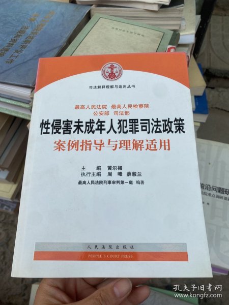 司法解释理解与适用丛书：性侵害未成年人犯罪司法政策案例指导与理解适用