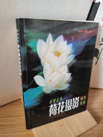 荷塘清风：荷花摄影精赏精解