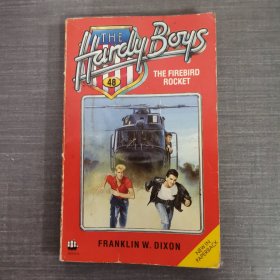 the hardy boys 48